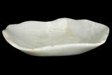 Polished Onyx (Aragonite) Decorative Bowl - Morocco #251135-1